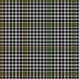 Burns Tartan Mini Skirt - Deluxe - Affordable Kilts