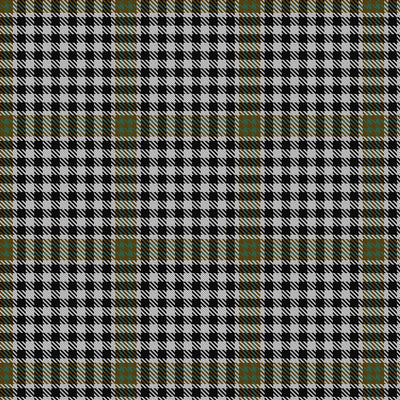 Burns Tartan Mini Skirt - Deluxe - Affordable Kilts