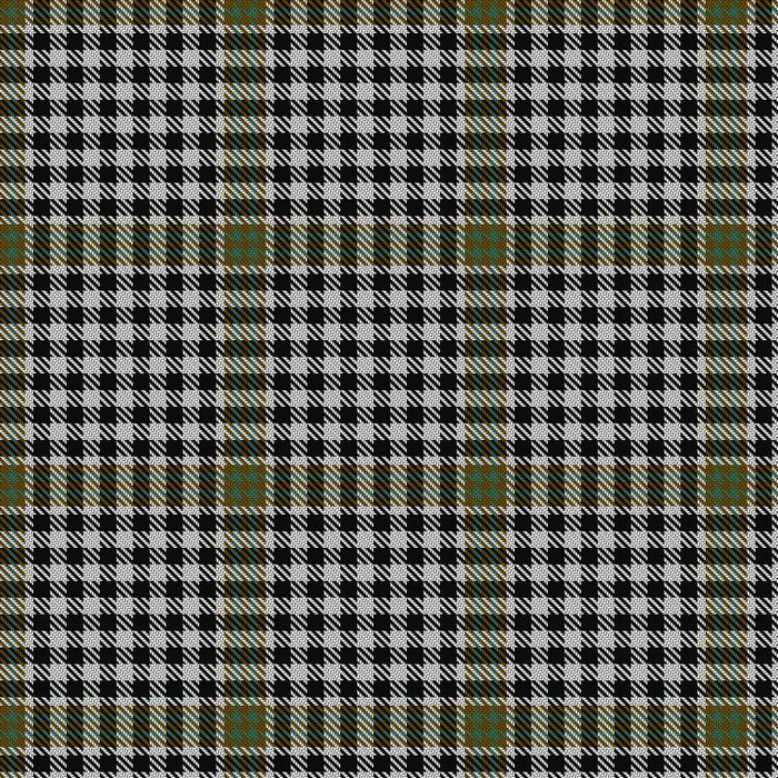 Burns Tartan Mini Skirt - Deluxe - Affordable Kilts