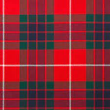Fraser Red Modern Tartan Deluxe Mini Skirt