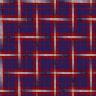 US Coast Guard Tartan Deluxe Mini Skirt