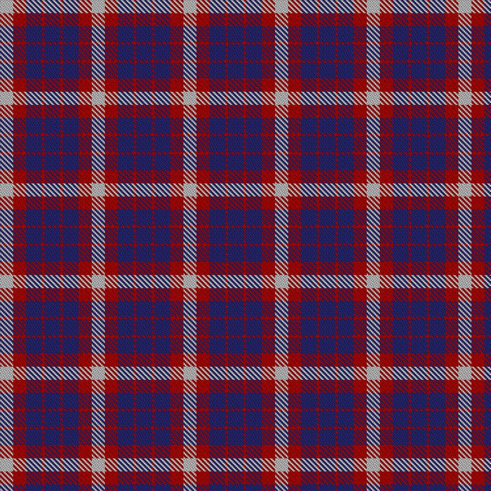 US Coast Guard Tartan Deluxe Mini Skirt