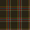 New World Celtic Tartan Deluxe Mini Skirt
